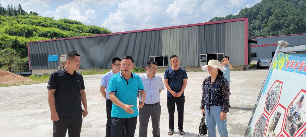 州苗侗山珍协会赴台江县排羊乡开展稻鱼种养殖树模基地授牌选址考察_黔东南州K8凯发集团集团